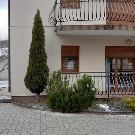 Apartments With A Parking Space Fuzine, Gorski Kotar - 19537 Dış mekan fotoğraf
